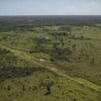 דניאל וולפה - וושינגטון פוסט