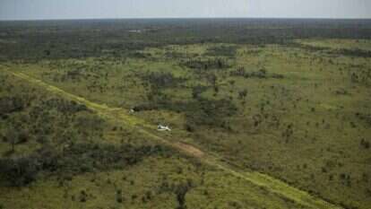 דניאל וולפה - וושינגטון פוסט