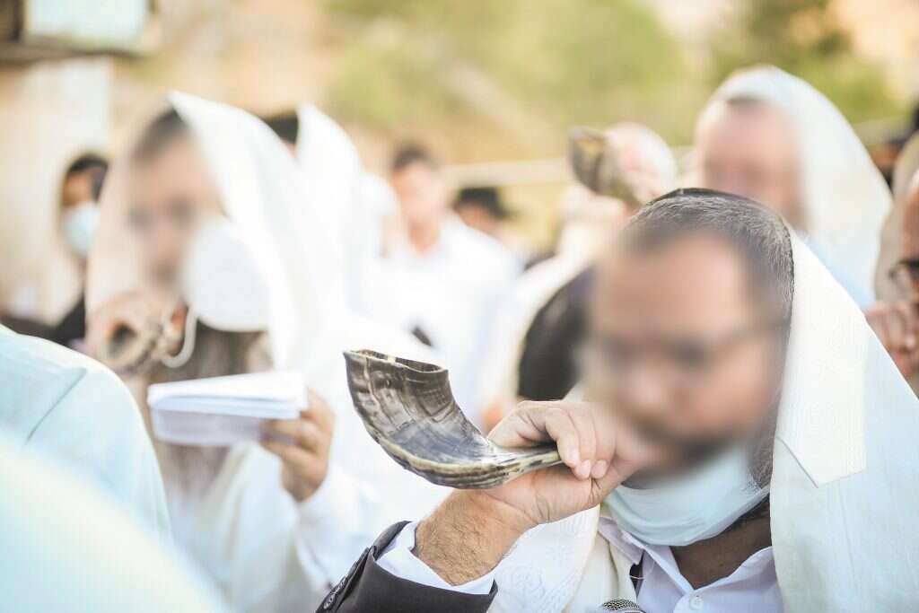 שופר אחד לכל בעל תוקע. תיקון אלף שופרות בעמוקה בחודש סיוון. | דוד כהן, פלאש 90