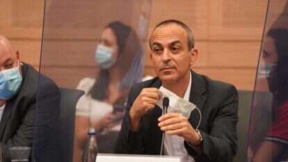 גמזו בדיון בוועדת החוקה, היום. | שמוליק גרוסמן, דוברות הכנסת