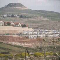 תקוע. | הדס פרוש, פלאש 90