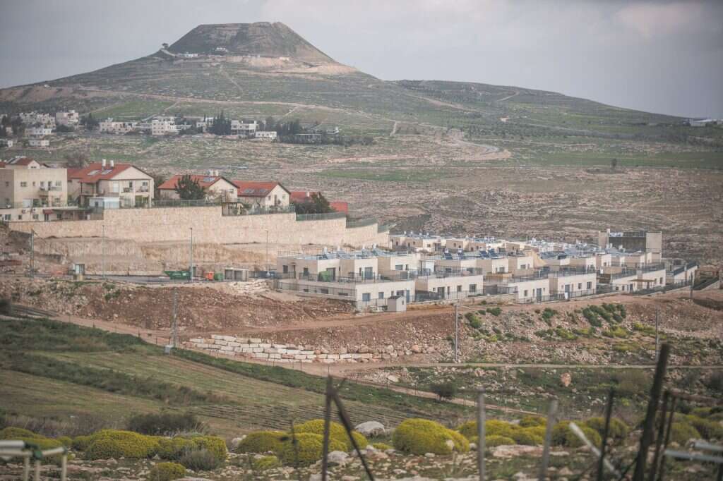 תקוע. | הדס פרוש, פלאש 90