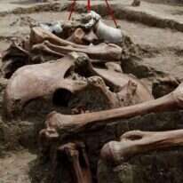 שלדי הממותות והארכיאולוגים באתר במקסיקו סיטי. | EPA