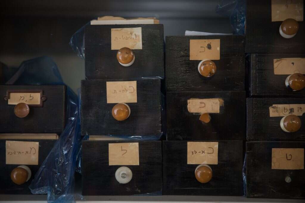 בעמדת משקיף. משרדי האקדמיה ללשון. | הדס פרוש, פלאש 90