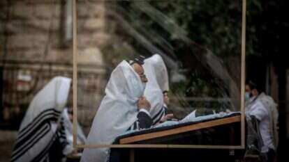 יונתן זינדל, פלאש 90