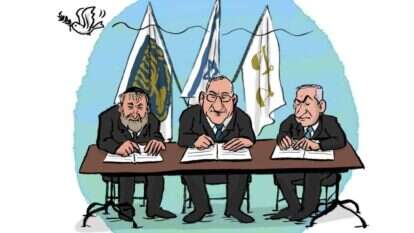 איור: שי צ'רקה איור: שי צ'רקה