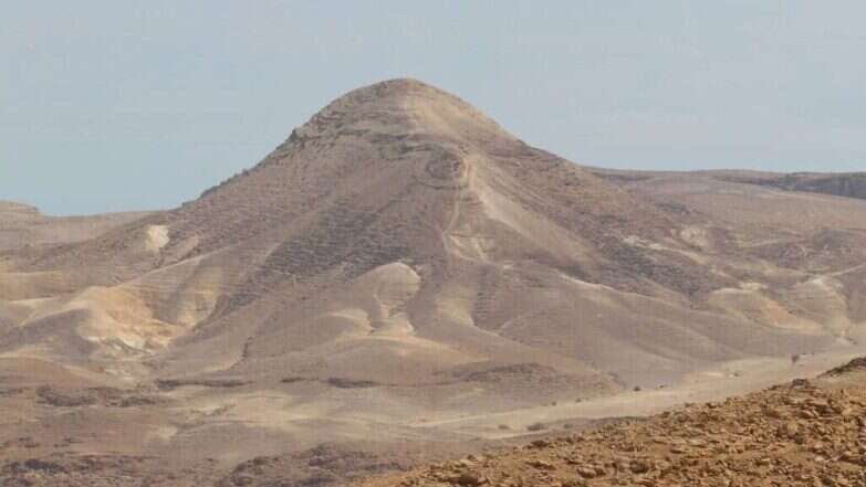 דויד מנינגר דויד מנינגר