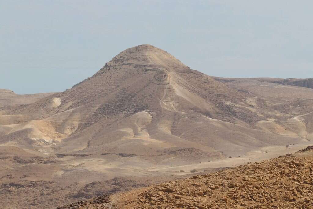 דויד מנינגר