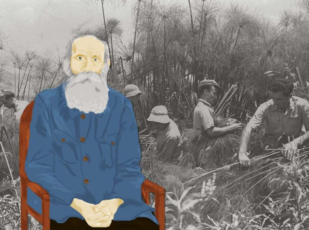 איור: מוריה קראוס, | זולטן קלוגר, לע"מ