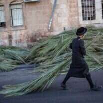 הכנות לסוכות בירושלים, 2018. | אהרון קרוהן, פלאש 90