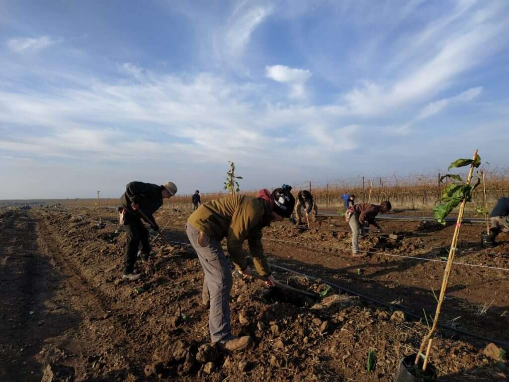 תלמידי רגבים בגולן. | באדיבות צוות רגבים תלמידי רגבים בגולן. | באדיבות צוות רגבים
