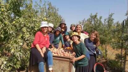 עמל ואחריות. תלמידות רגבים בעבודת האדמה. | באדיבות רגבים עמל ואחריות. תלמידות רגבים בעבודת האדמה. | באדיבות רגבים