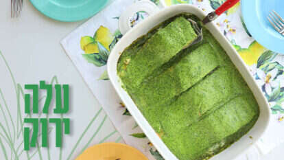 אפרת ליכטנשטט