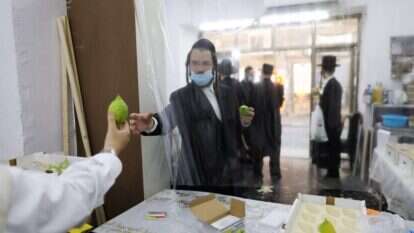 גם המיעוט צריך להתייחס לרוב בכבוד. מכירת ארבעת המינים במאה שערים. | EPA