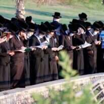 חרדים בתשליך. | AFP חרדים בתשליך. | AFP