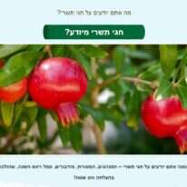 אחת הפעילויות באתר קק"ל