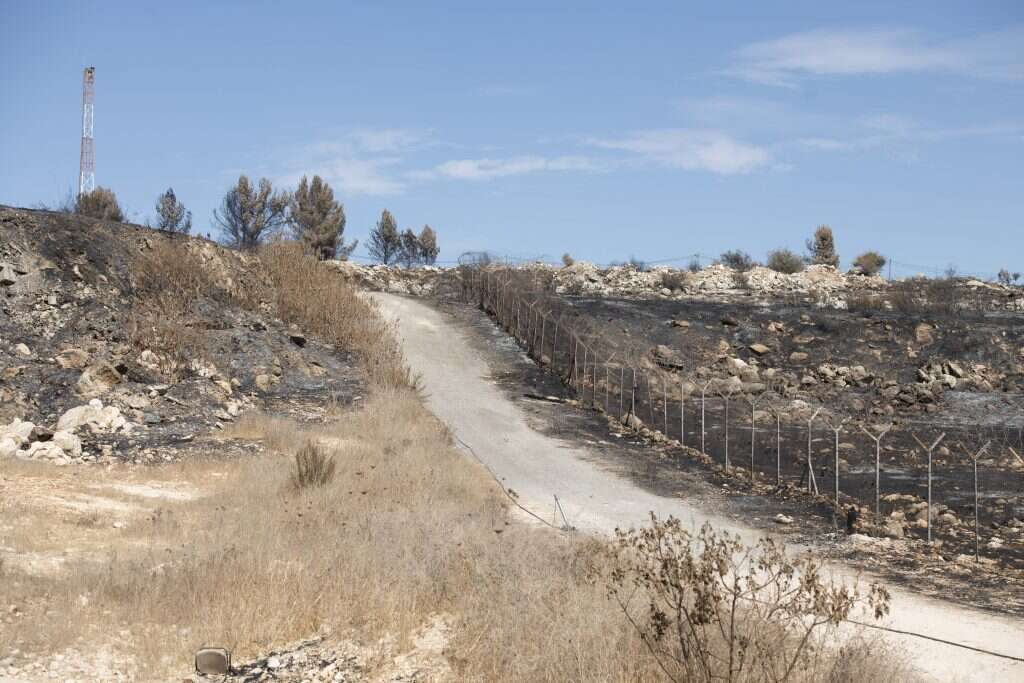 שריה דיאמנט שריה דיאמנט