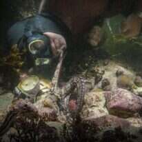 מתוך הסרט, באדיבות נטפליקס