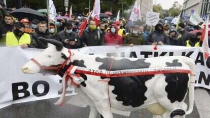 הפגנה נגד איסור שחיטה בפולין. | AP