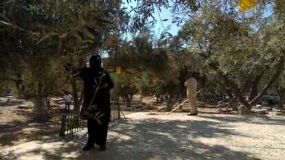 למרות הסגר, מסיק בהר הבית בשבוע שעבר למרות הסגר, מסיק בהר הבית בשבוע שעבר