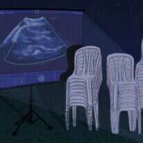 איור: שרון ארדיטי