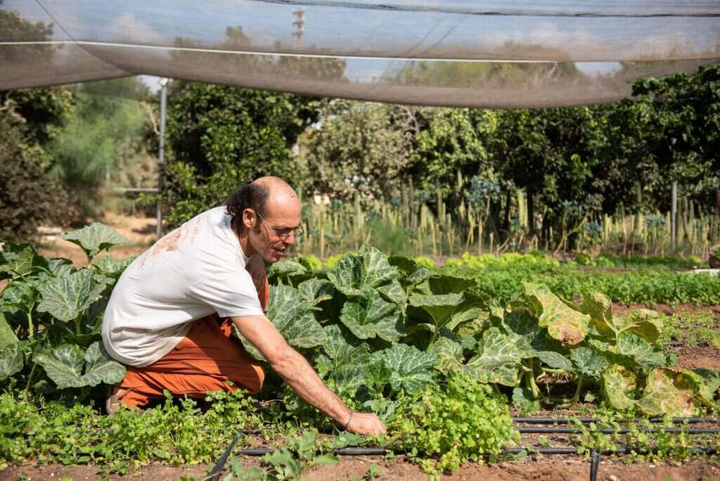 חיים קרובים לאדמה. נמרוד ולד. | אביטל הירש חיים קרובים לאדמה. נמרוד ולד. | אביטל הירש