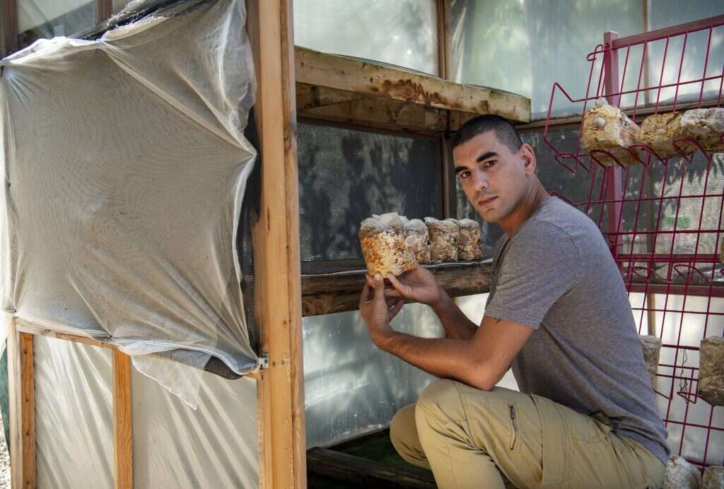 המזרח הקדים את העולם המערבי בהבנת הפטריות. לירן טויטו. | גיל אליהו, ג'יני