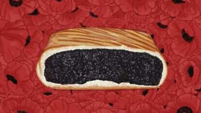 איור: שרון ארדיטי