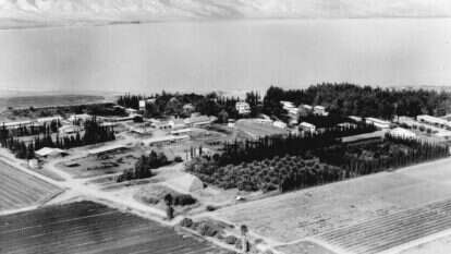 קלוגר זולטן, לע"מ