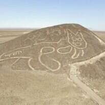 גאוגליף החתול באתר בפרו. | AFP