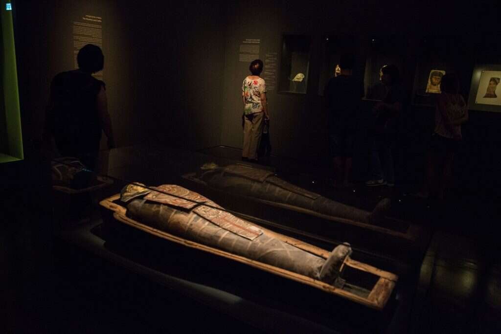 מהפכה בשלל תחומים. המומיה אלכס. | הדס פרוש, פלאש 90