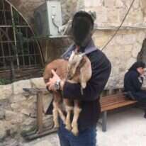 שוטר אוחז בגדי שנתפס בערב פסח תשע"ז. | דוברות המשטרה