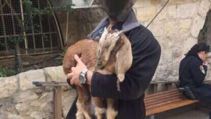 שוטר אוחז בגדי שנתפס בערב פסח תשע"ז. | דוברות המשטרה