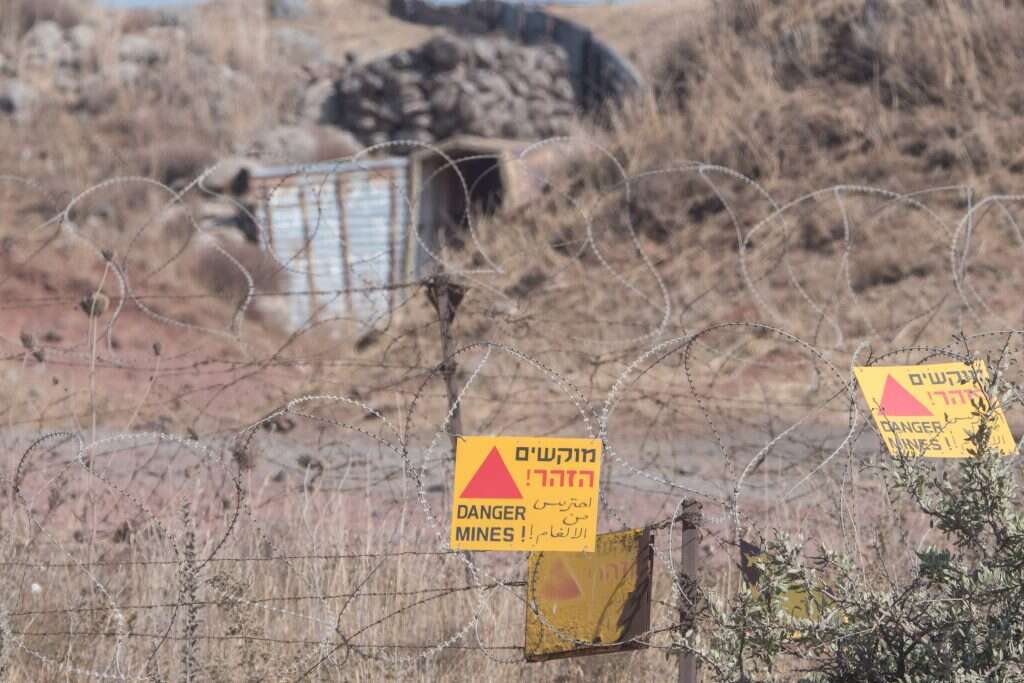 שדה מוקשים ברמת הגולן. | אייל מרגולין - ג׳יני שדה מוקשים ברמת הגולן. | אייל מרגולין - ג׳יני