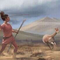 מתוך שער כתב העת Science Advances