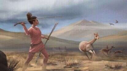 מתוך שער כתב העת Science Advances