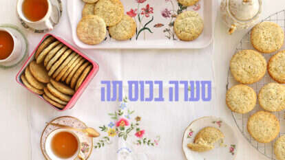 אפרת ליכטנשטט אפרת ליכטנשטט