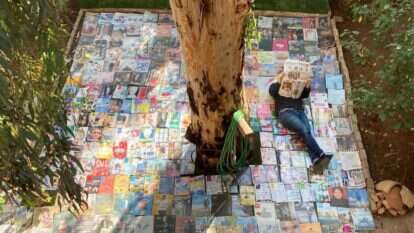 שרה הפשטיין