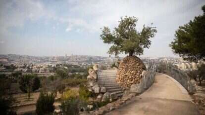 הדס פרוש, פלאש 90