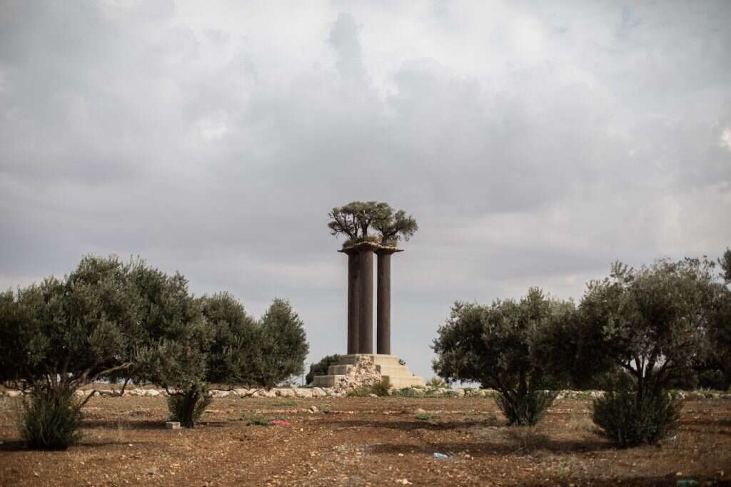פסל עמודי הזית ממזרח לקיבוץ. | הדס פרוש, פלאש 90