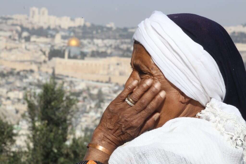 הסיגד. | מרים צחי