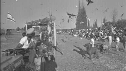 לבני הקיבוצים הייתה תחושת שייכות טבעית וקשר עמוק עם יהדותם. ילדי קיבוץ גבעת ברנר משחררים יונים במהלך חגיגות חג השבועות, 1973. | חנניה הרמ, לע"מ