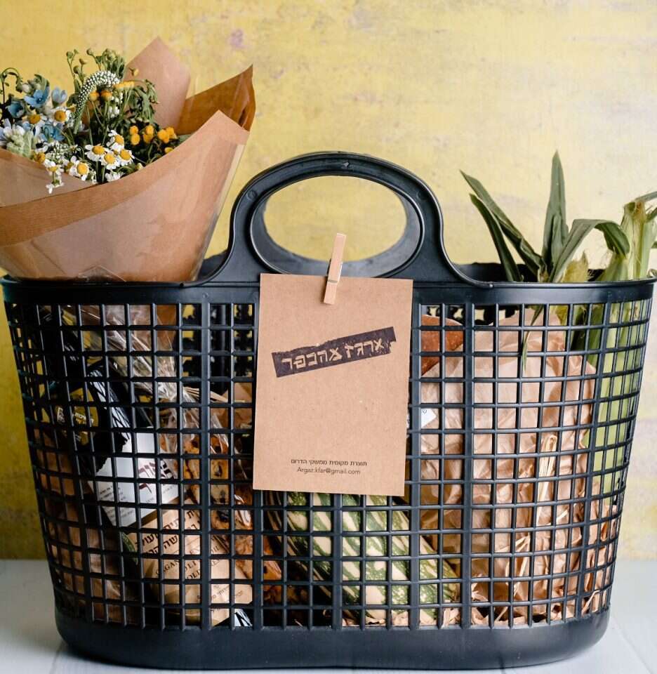 שירן כהן שי