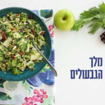 אפרת ליכטנשטט