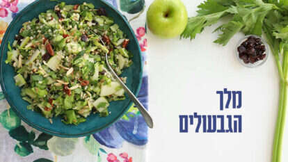 אפרת ליכטנשטט