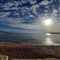 חוף הים. | בתאל קולמן