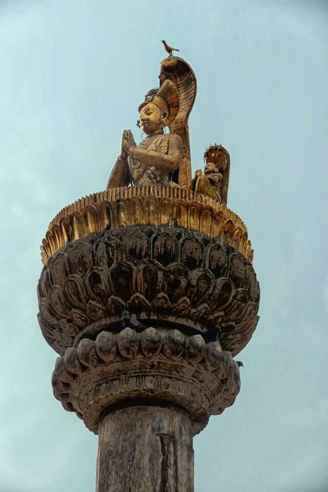 ד"ר דרורה בהרל ד"ר דרורה בהרל