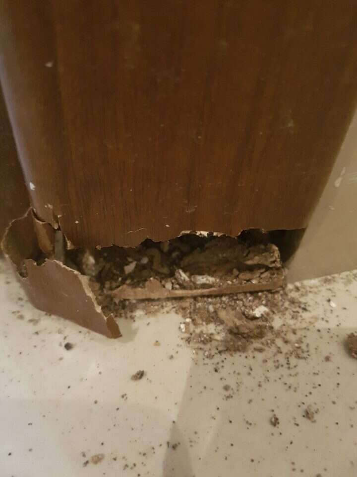 נזק של עשור בשנה אחת. פועלו של הפורמוזני בבתי מגורים בעיר. | תומר לו