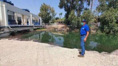 סכר דגניה, בסוף אפריל. | יאיר קראוס