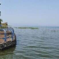 הכנרת סמוך לסכר דגניה בשיא גובה המפלס, סוף חורף 2020. | יאיר קראוס